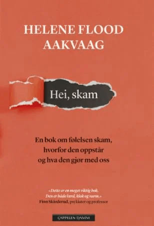 Hei, skam av Helene Flood Aakvaag