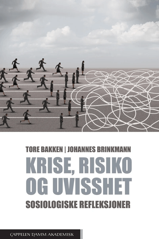 Krise, risiko og uvisshet av Tore Bakken, Johannes Brinkmann