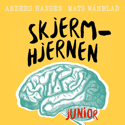 Skjermhjernen junior av Anders Hansen, Mats Wänblad