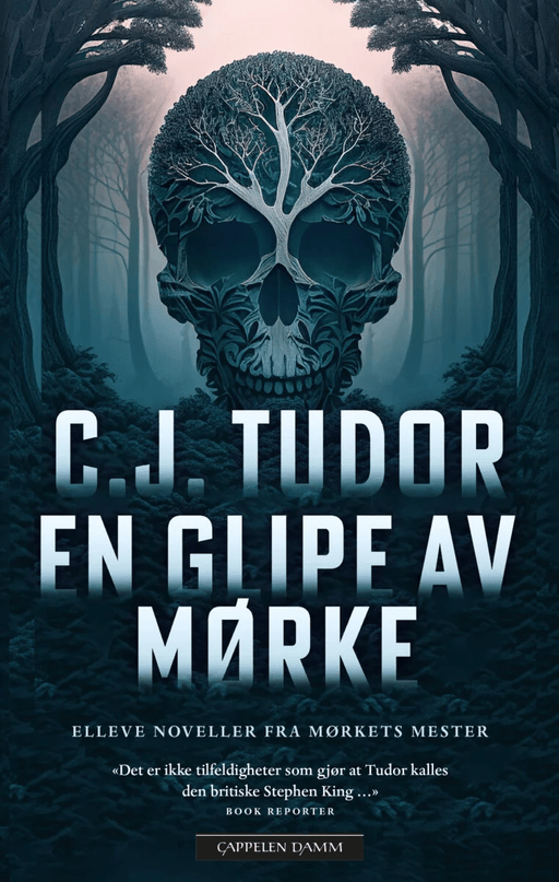 En glipe av mørke av C.J. Tudor