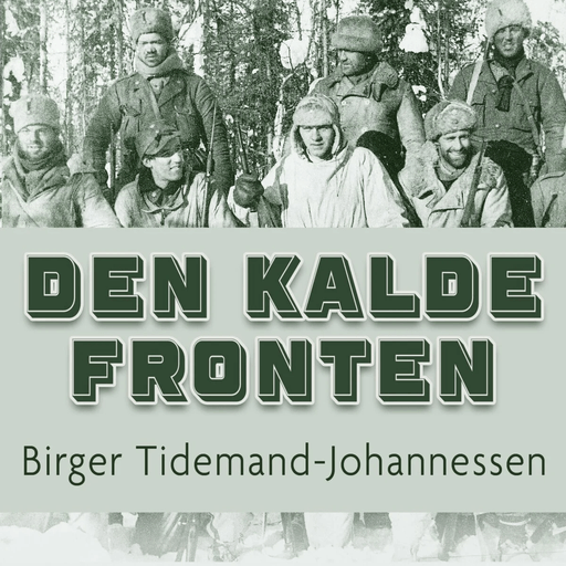 Den kalde fronten av Birger Tidemand-Johannessen