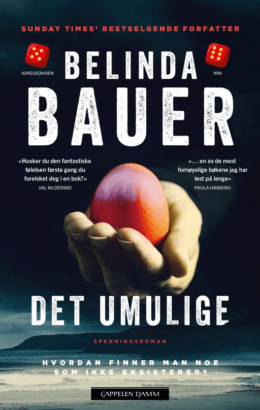 Det umulige av Belinda Bauer