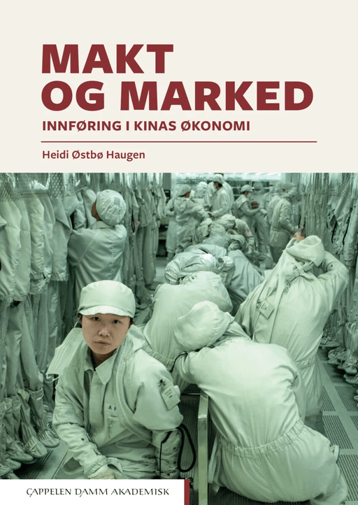 Makt og marked av Heidi Østbø Haugen