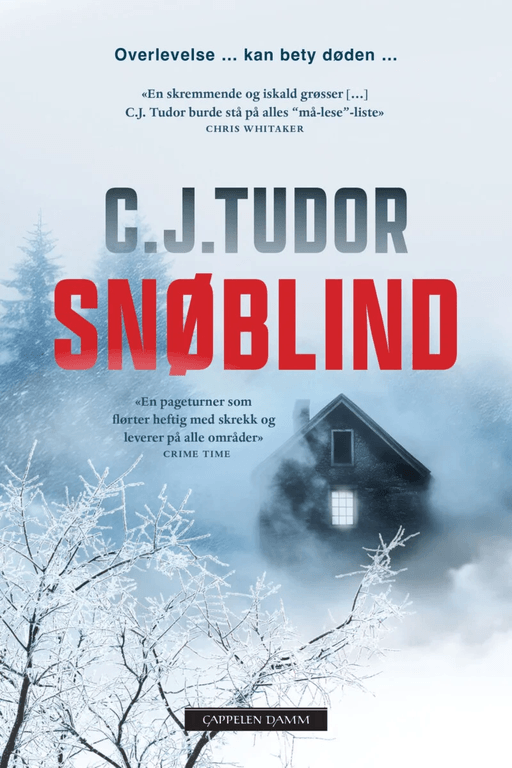 Snøblind av C.J. Tudor