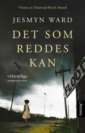 Det som reddes kan av Jesmyn Ward