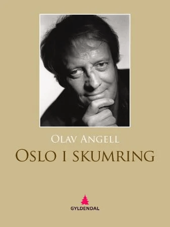 Oslo i skumring av Olav Angell