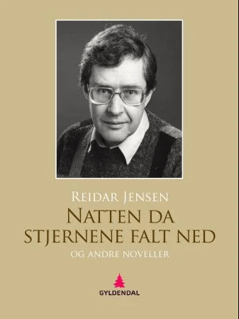 Natten da stjernene falt ned og andre noveller av Reidar Jensen