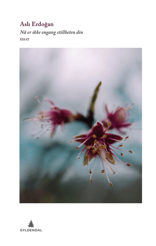 Nå er ikke engang stillheten din av Asl¿ Erdo¿an