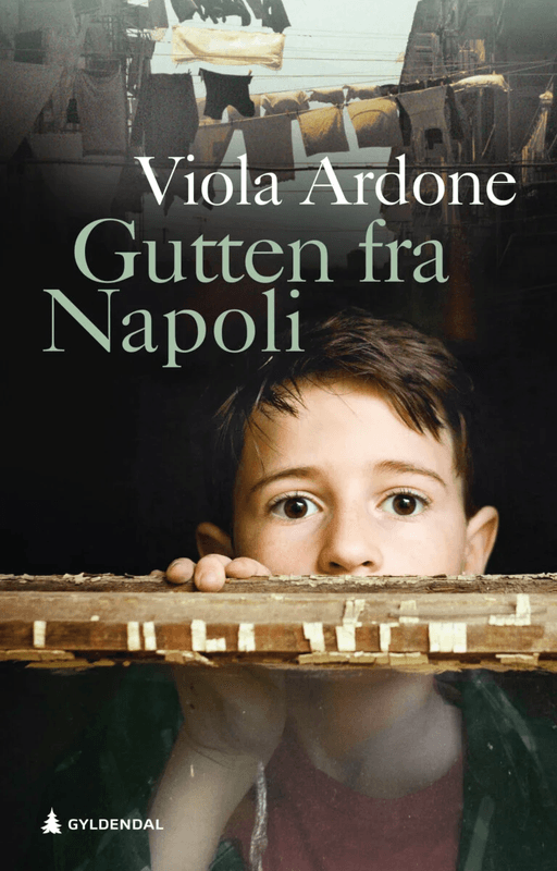 Gutten fra Napoli av Viola Ardone