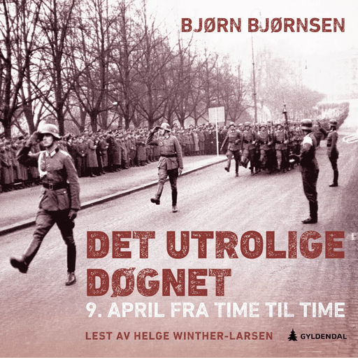 Det utrolige døgnet av Bjørn Bjørnsen