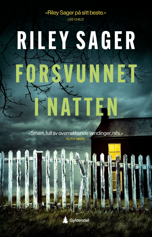 Forsvunnet i natten av Riley Sager