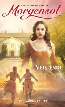 Veis ende av Anne Marie Stamnestrø