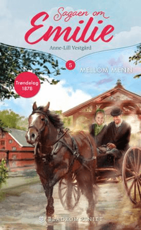 Mellom menn av Anne-Lill Vestgård