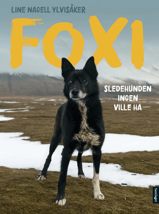 Foxi av Line Nagell Ylvisåker