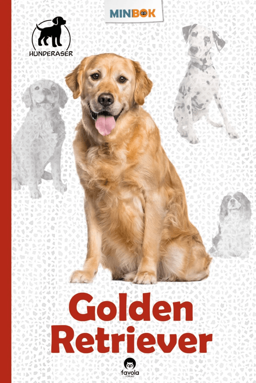 Golden retriever av Susan Miller