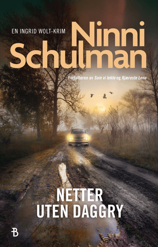 Netter uten daggry av Ninni Schulman