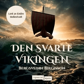 Den svarte vikingen av Bergsveinn Birgisson