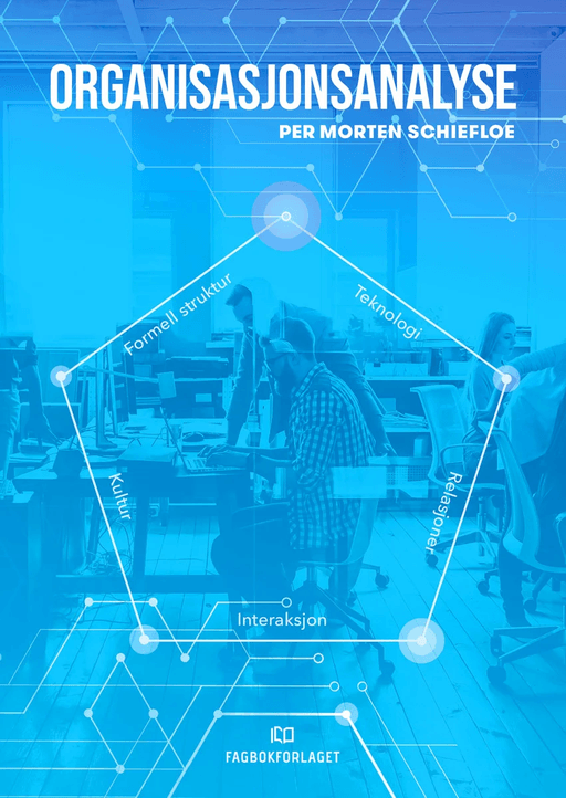 Organisasjonsanalyse av Per Morten Schiefloe