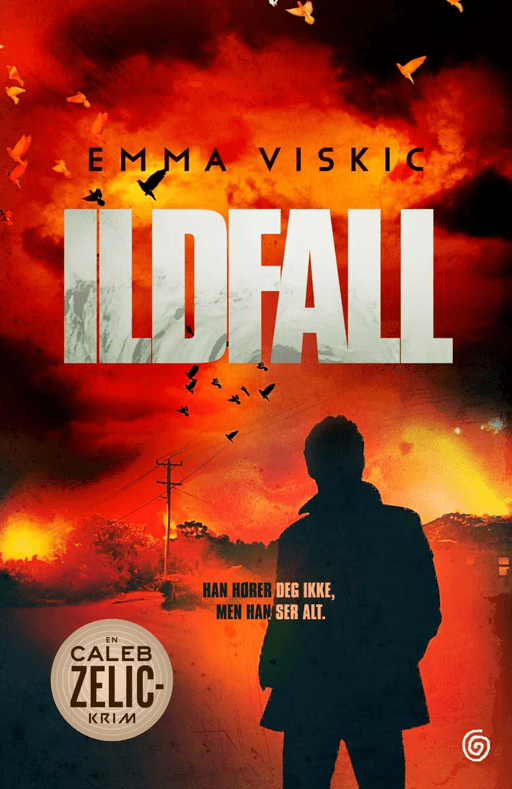 Ildfall av Emma Viskic