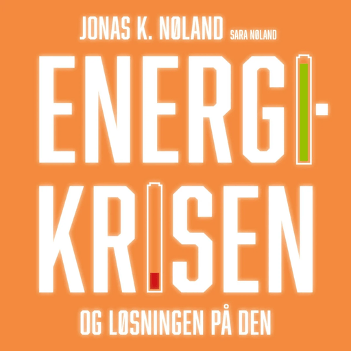 Energikrisen av Jonas Kristiansen Nøland, Sara T. Nøland