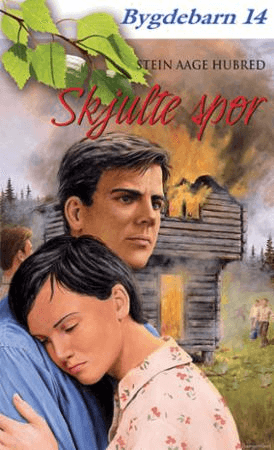 Skjulte spor av Stein Aage Hubred