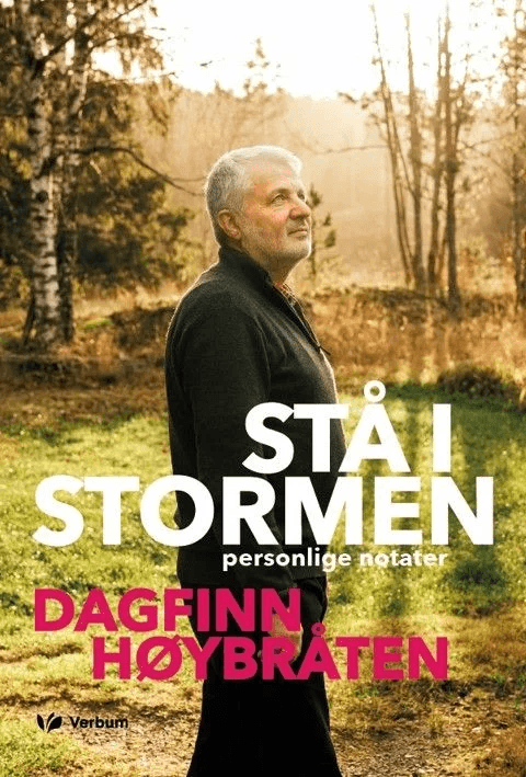 Stå i stormen av Dagfinn Høybråten