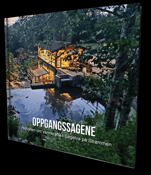 Oppgangssagene av Steinar Bunæs