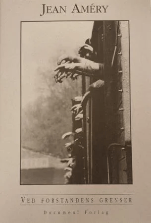 Ved forstandens grenser av Hans Maier