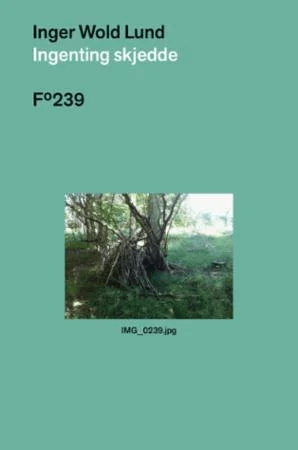 Ingenting skjedde av Inger Wold Lund