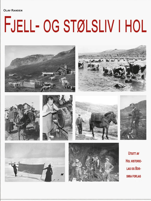Fjell- og stølsliv i Hol av Olav Randen