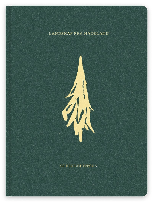 Landskap fra Hadeland av Sofie Berntsen, Bjørn Hatterud, Leif Høghaug, Ole Slyngstadli