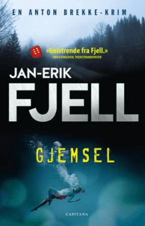 Gjemsel av Jan-Erik Fjell