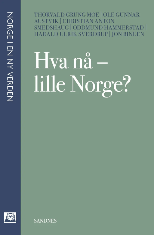 Hva nå - lille Norge? av Ole Gunnar Austvik, Jon Bingen, Oddmund Hammerstad, Thorvald Grung Moe, Christian Anton Smedshaug, Harald Ulrik Sverdrup