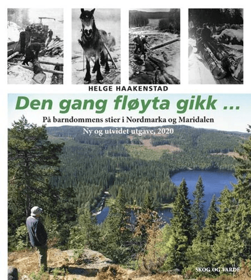Den gang fløyta gikk... av Helge Haakenstad