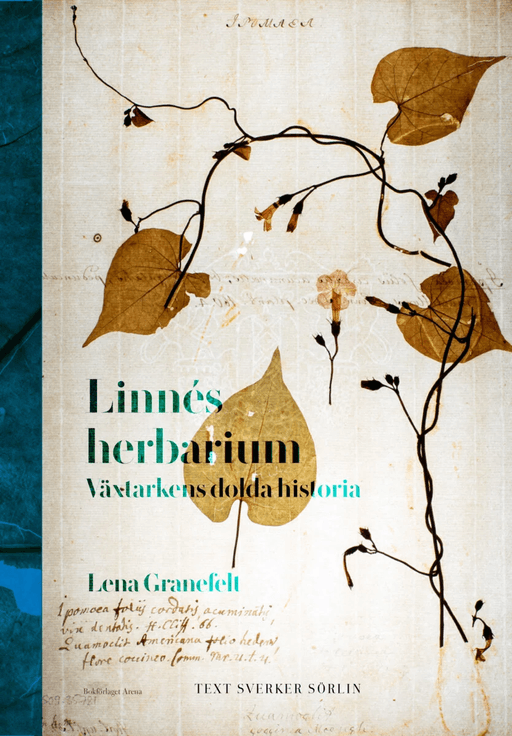 Linnés herbarium av Sverker Sörlin, Lena Granefelt
