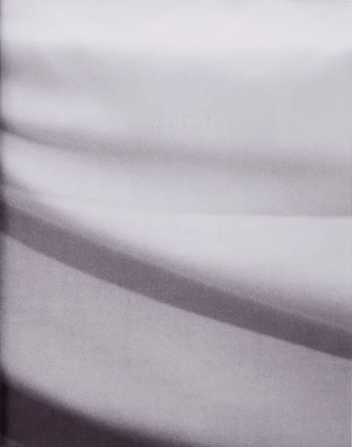 Transi av Margot Jourquin