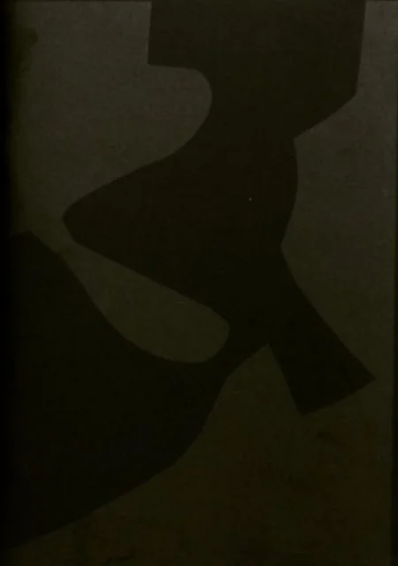 Idiosyncratic Copy Machine av Kristof Van Gestel, Niek Pladet