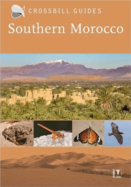 Southern Morocco av Martin Pitt