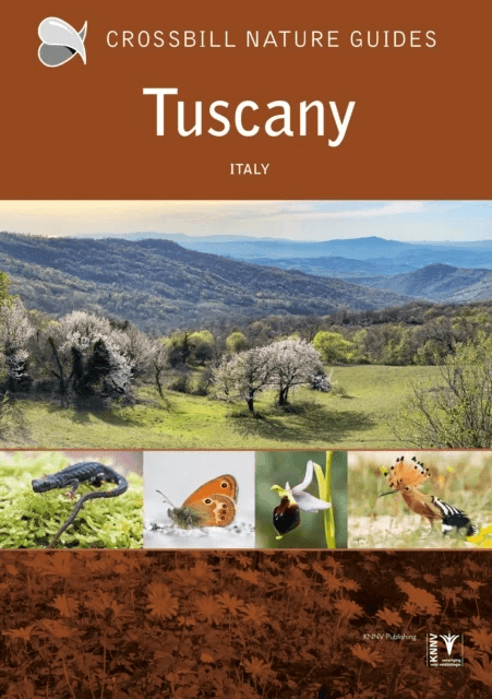 Tuscany av Graham Chisholm