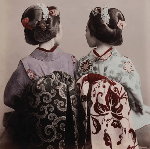 Japan on a Glass Plate av Sebastian Dobson