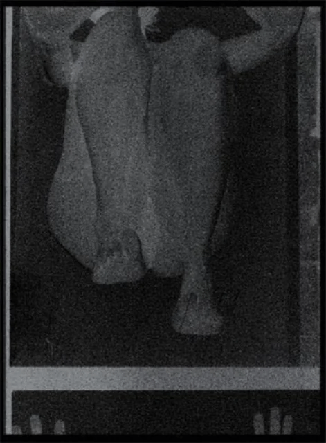 Replica av Rita Lino