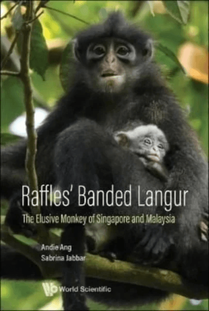 Raffles' Banded Langur: The Elusive Monkey Of Singapore And Malaysia av Andie (Mandai Nature S'pore &amp; Raffles' Banded Langur Workin