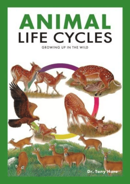 Animal Life Cycles av Tony Hare