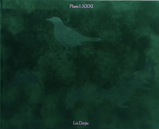 PLATES I-XXXI av Lia Darjes