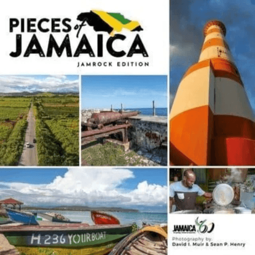 Pieces of Jamaica av Sean Henry