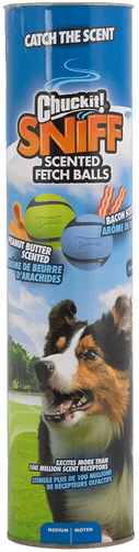 Chuckit Sniff Fetch Balls 4-pk