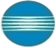 Konica Minolta Toner Svart A0FP022