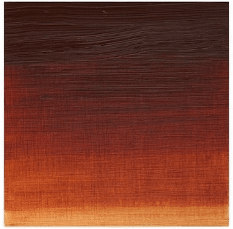 Winsor Artists Oil 200ML Burnt Sienna