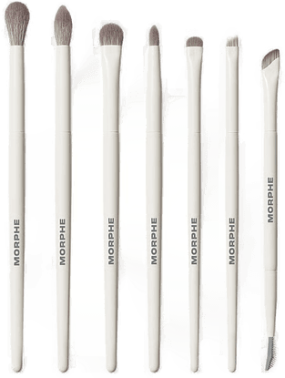 Morphe Eye Want It All Brush Set