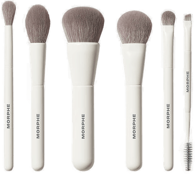 Morphe Along For The Glide Travel Brush Set